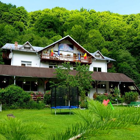 Pensiunea Valea Negrasului Trăisteni Esterno foto