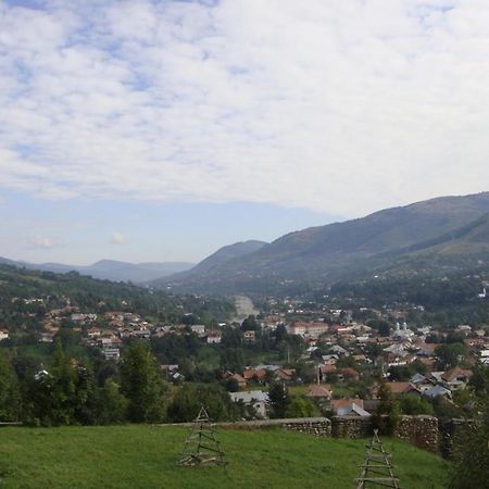 Pensiunea Valea Negrasului Trăisteni Esterno foto