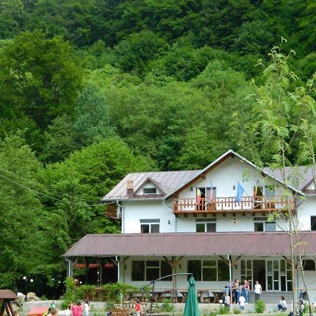 Pensiunea Valea Negrasului Trăisteni Esterno foto