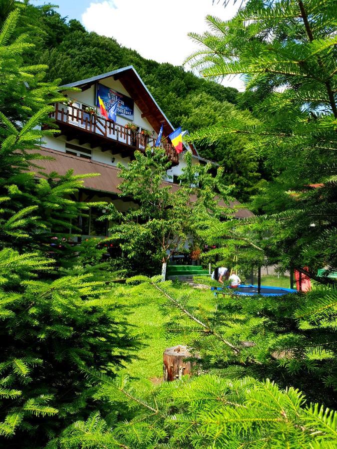 Pensiunea Valea Negrasului Trăisteni Esterno foto