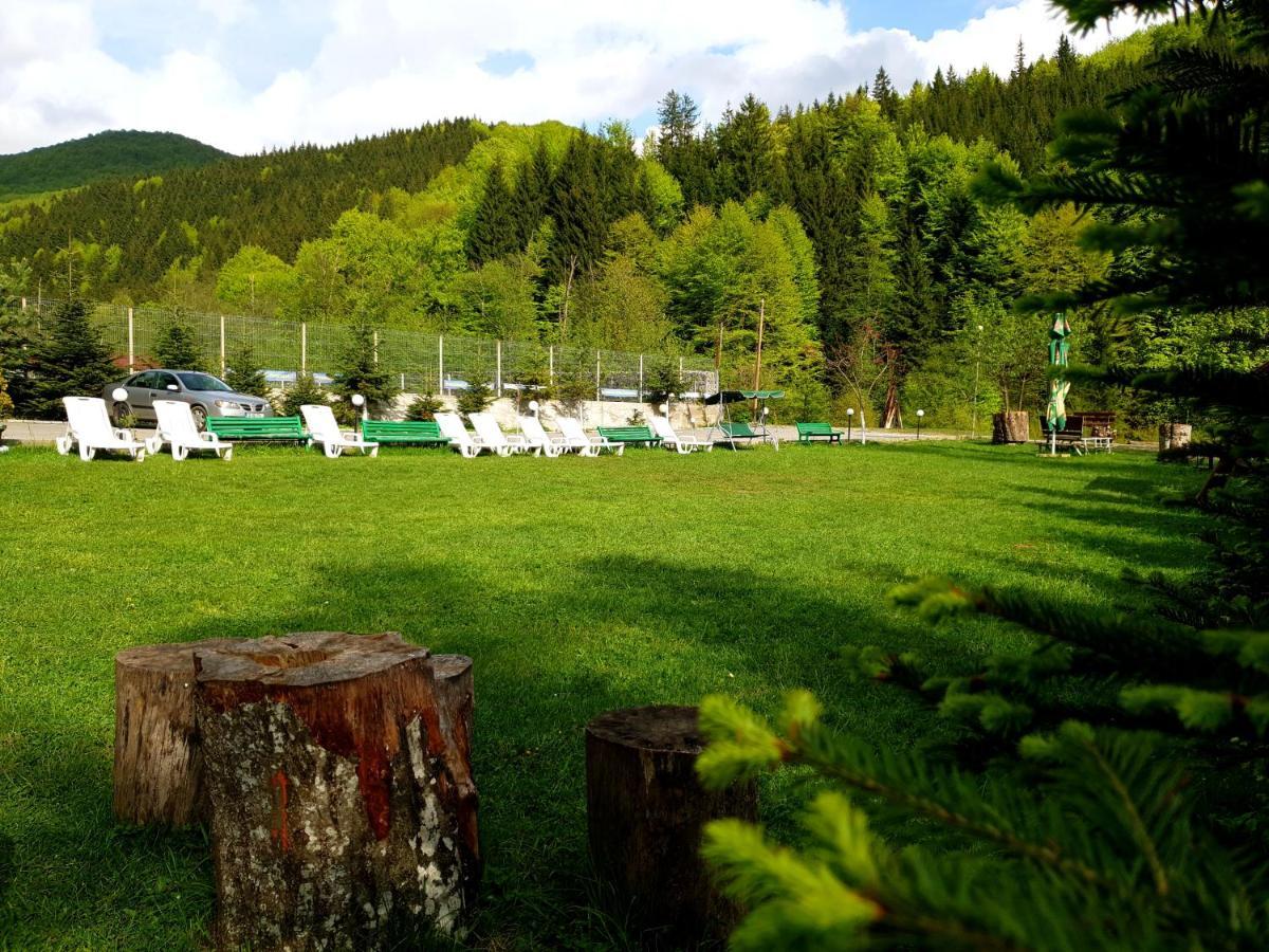 Pensiunea Valea Negrasului Trăisteni Esterno foto