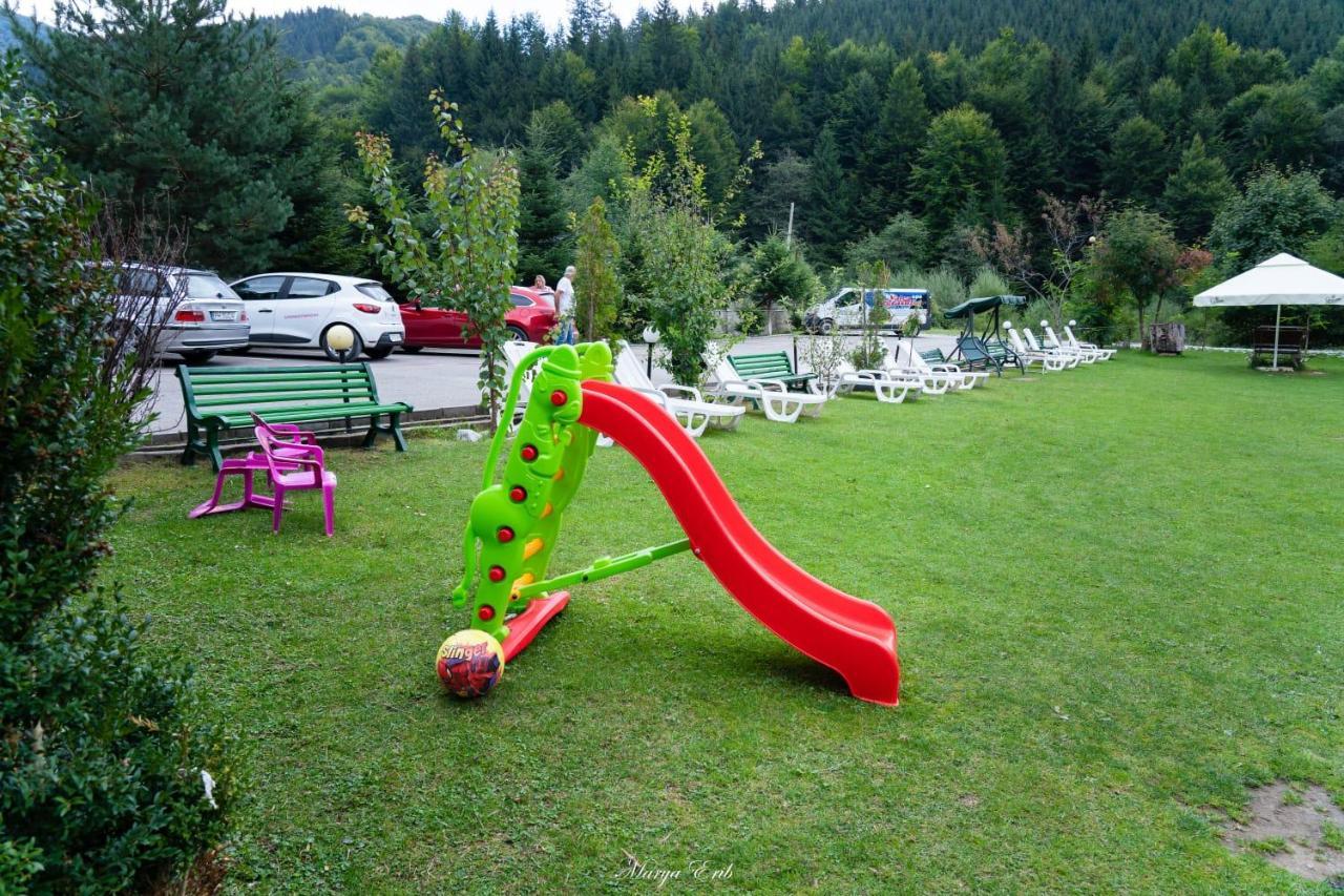 Pensiunea Valea Negrasului Trăisteni Esterno foto