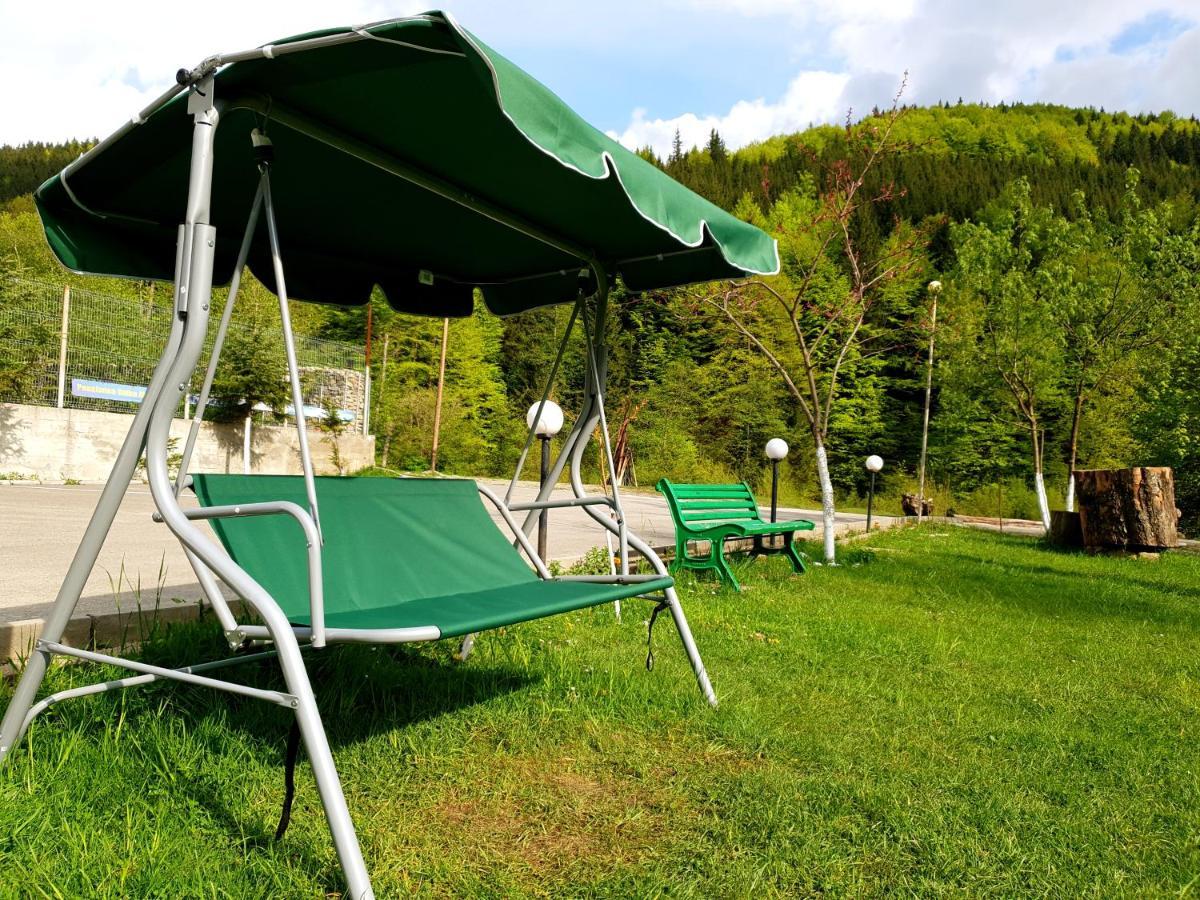 Pensiunea Valea Negrasului Trăisteni Esterno foto