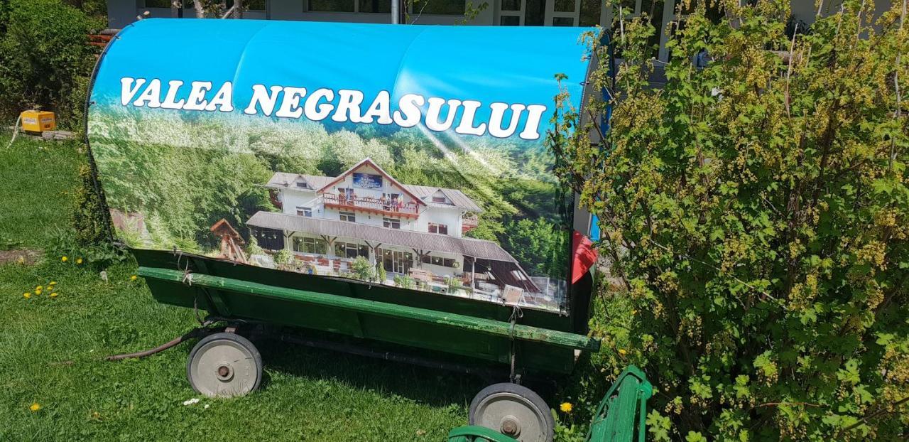 Pensiunea Valea Negrasului Trăisteni Esterno foto