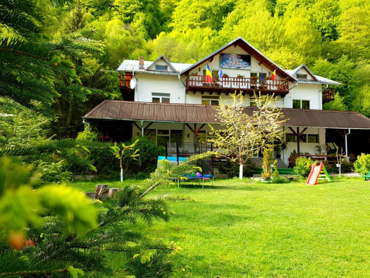 Pensiunea Valea Negrasului Trăisteni Esterno foto