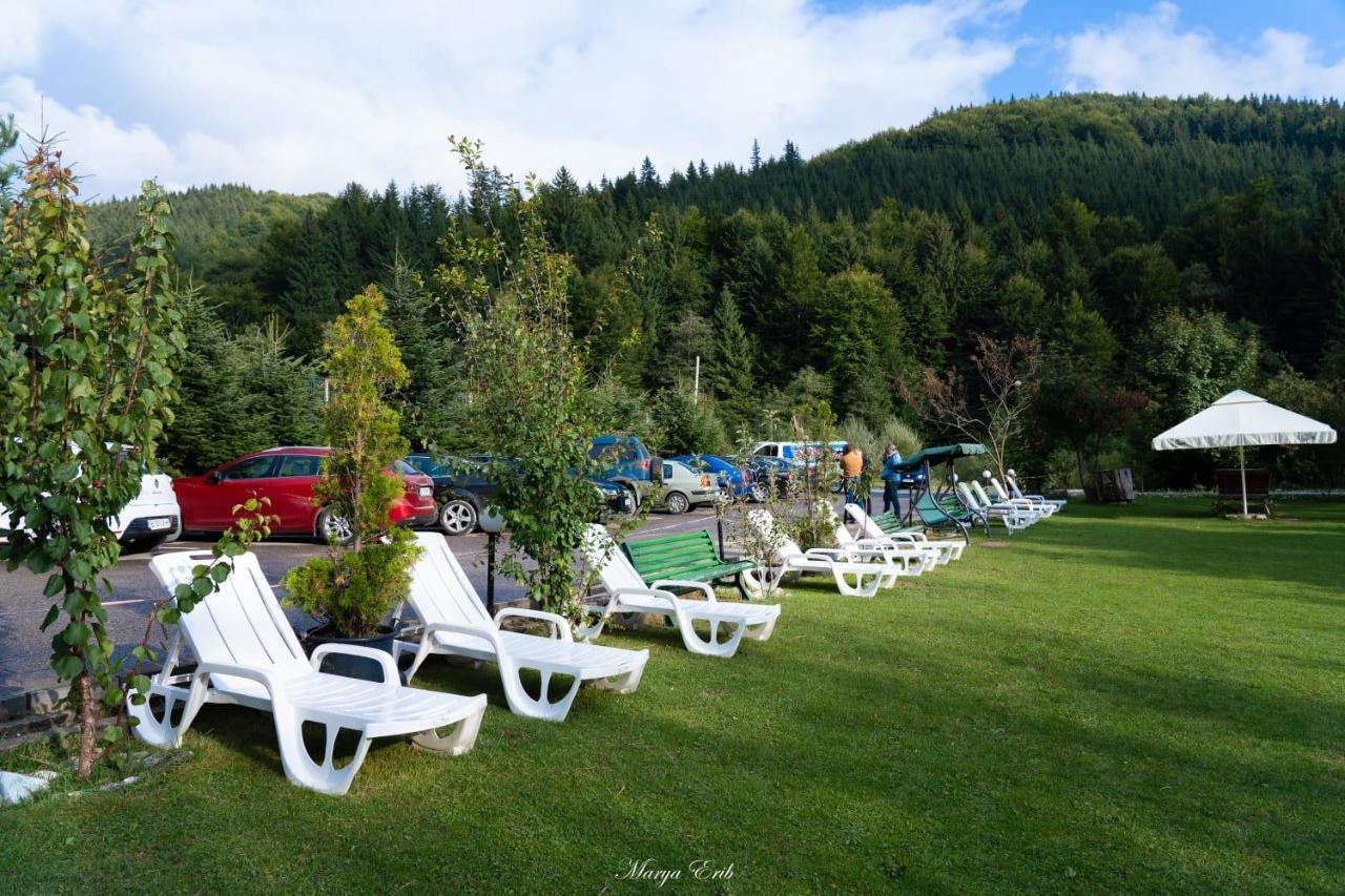 Pensiunea Valea Negrasului Trăisteni Esterno foto