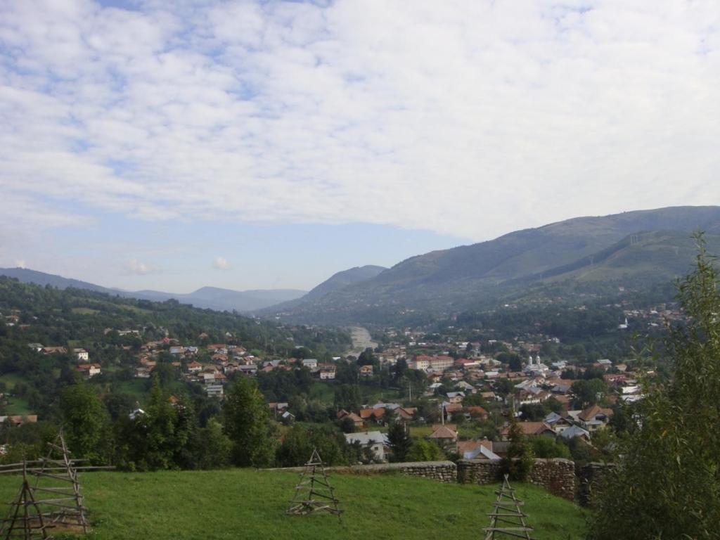 Pensiunea Valea Negrasului Trăisteni Esterno foto