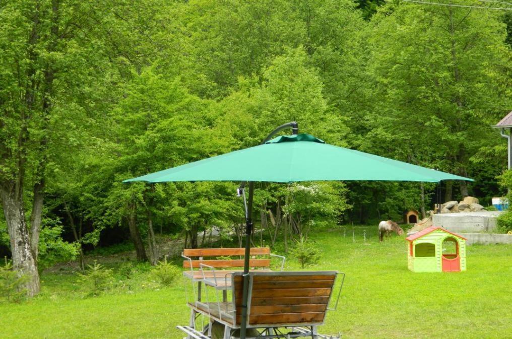 Pensiunea Valea Negrasului Trăisteni Esterno foto