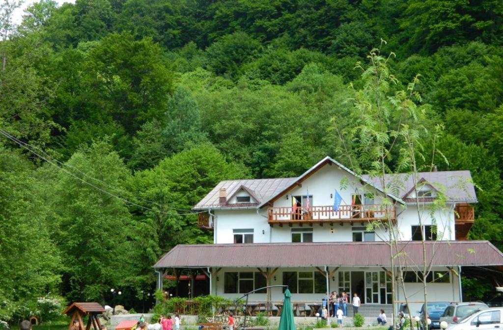 Pensiunea Valea Negrasului Trăisteni Esterno foto